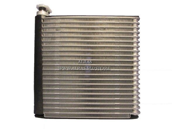 EVAP NISSAN SUNNY N17